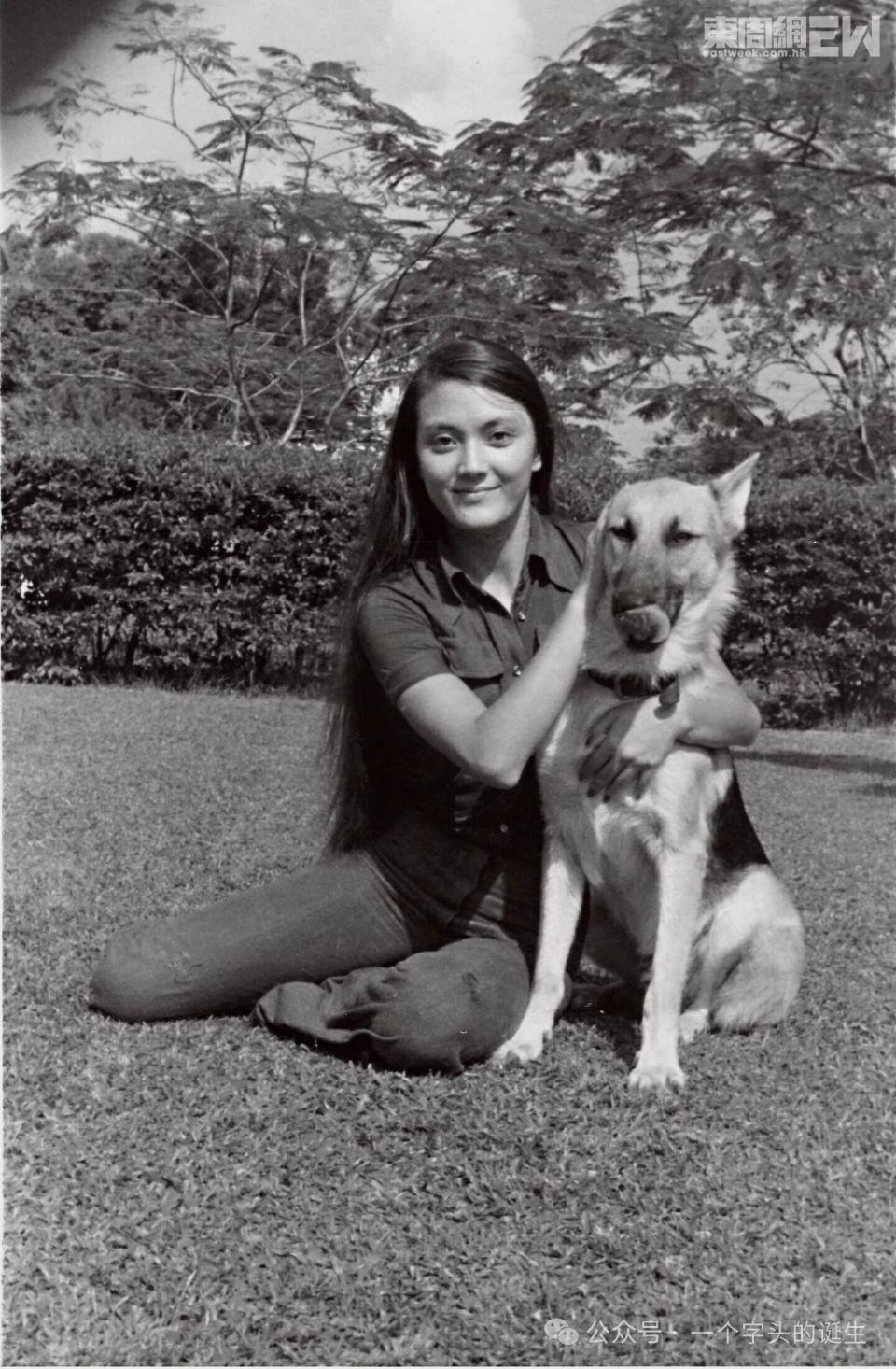 紫衫龙王 | 香港艺人施明离世