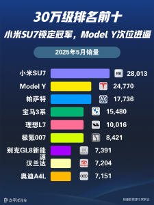 三十万左右的电动车有哪些？值得考虑的车型推荐给你