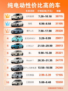  新能源电车排名怎么看？纯电车十强车型都有谁