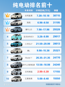  电动汽车哪款好？纯电新能源车前十名可以先看这些