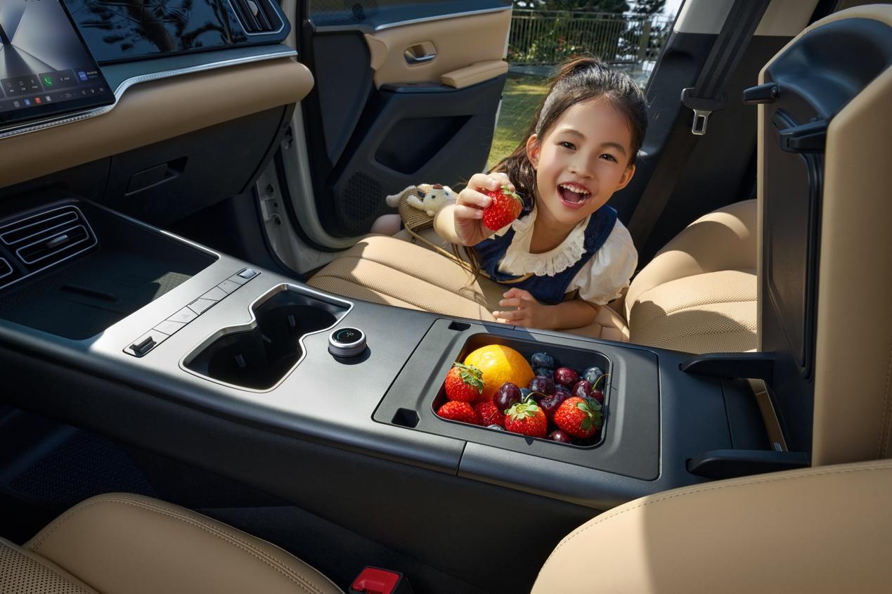 限时价11.98万元起 宋Pro DM-i长续航版上市 纯电续航220km