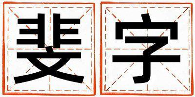 斐字取名的寓意男孩 斐字取名的寓意