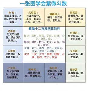 紫微斗数与八字论命