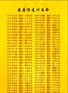 八字看大运是什么命的