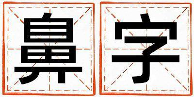 鼻字取名的寓意是什么,鼻字取名的含义是什么,鼻字取名的意思解释