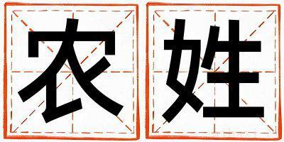 农姓大气文雅的男孩名字,取什么名字好