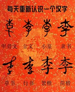 姓李的五行属性是什么 李字说文解字