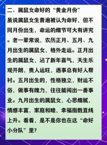 属鼠十月出生是什么命 十月鼠女什么命