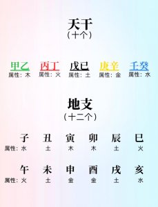 从八字中如何看属命 怎么看属什么命
