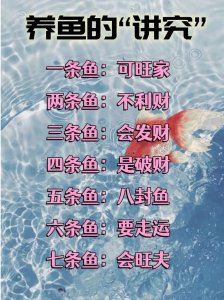 风水讲家里可以养鱼吗