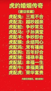 男虎女兔八字命理 虎和兔相配婚姻如何能走到最后吗