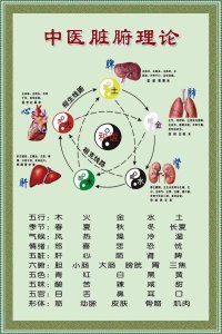 中医五行相生相克的关系 阴阳五行与五脏六腑的关系
