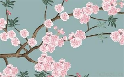 今日装潢好不好 2026年04月24日是装修好日子吗