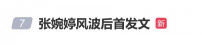 宋宁峰出轨风波后，张婉婷首发长文