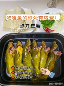 家养嘎鱼影响风水吗
