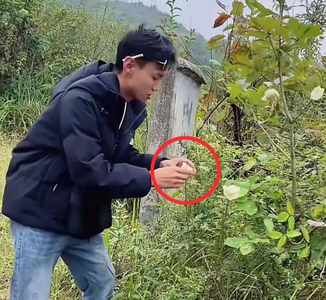 知名网红意外离世，平时爱拍墓地相关的内容，还称要买一块给自己