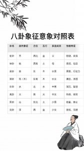 命理八字取象什么意思 八字成象是什么意思
