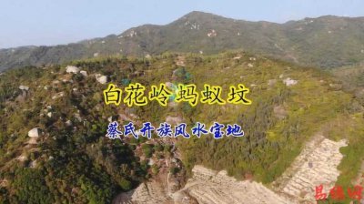 蚂蚁和风水有关系吗
