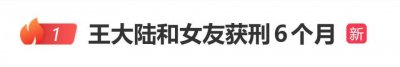 王大陆和女友获刑6个月，两人均未出庭，为讨债找黑道查个资