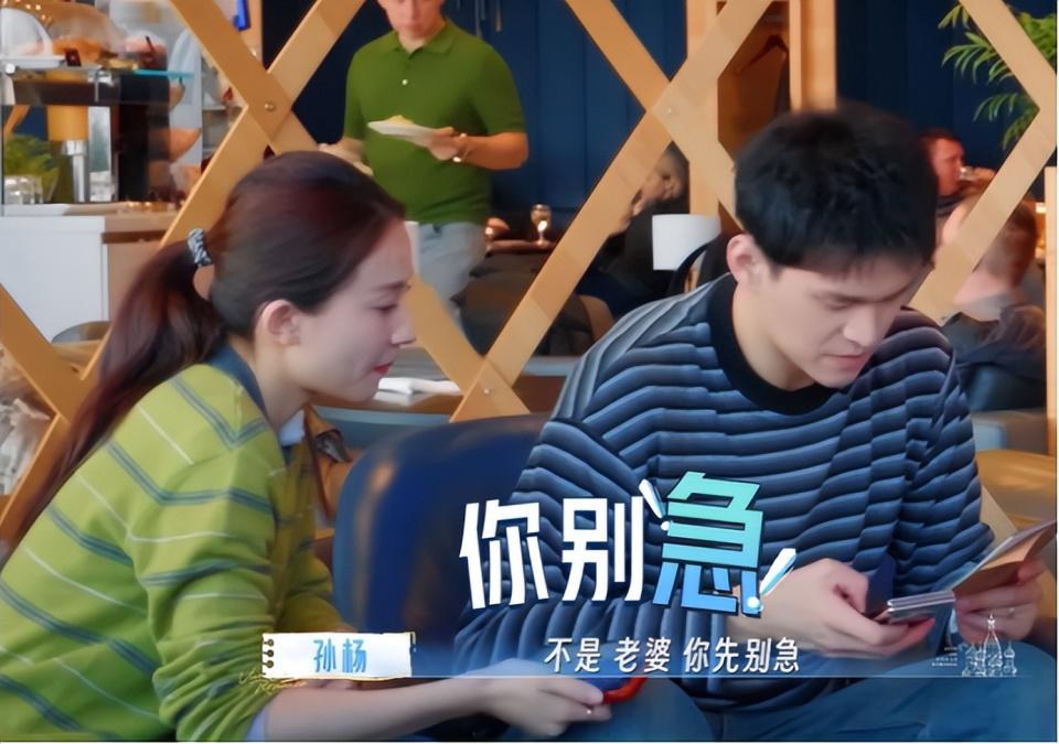 《妻子的浪漫旅行2026》 暴露明星真实性格！李纯不矫情，秦昊诙谐，孙杨最强势