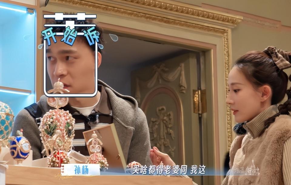 《妻子的浪漫旅行2026》 暴露明星真实性格！李纯不矫情，秦昊诙谐，孙杨最强势
