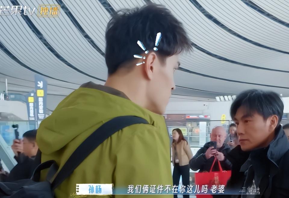 《妻子的浪漫旅行2026》 暴露明星真实性格！李纯不矫情，秦昊诙谐，孙杨最强势