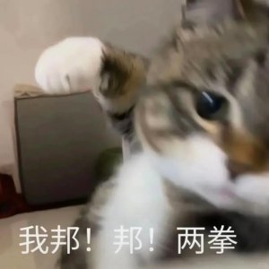 这出轨瓜还有后续！原配竟然主动向小三倾诉自己也当过小三