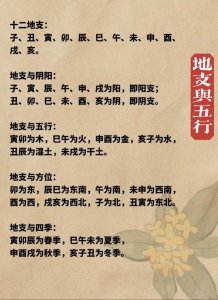 五行看纳音还是地支 五行准还是纳音准