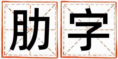 肋字取名寓意女孩 肋字五行属什么