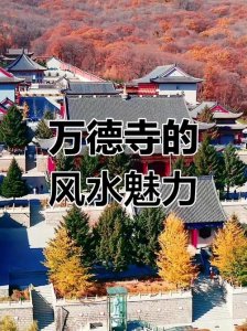 佛教跟风水有关系吗
