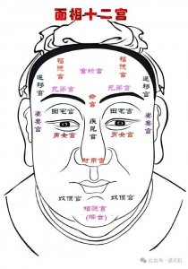 八字命理学官禄宫在哪里 八字四柱
