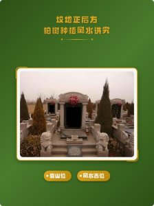 门前栽柏树讲究风水吗