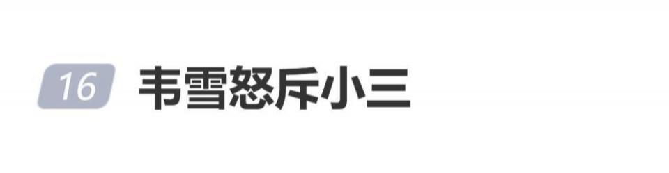 韦雪被问“怎么当好一个小三”,怒斥对方:“男人都没了吗?盯着人家的老公”