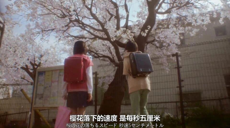 以为是烂片,没想到被狠狠打脸了