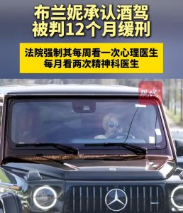 “小甜甜”布兰妮承认酒驾，被判12个月缓刑