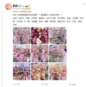 谢娜首场个人演唱会开唱，何炅调开国外工作奔赴现场
