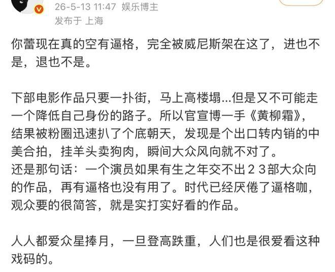 辛芷蕾的好莱坞梦,刚起飞就“悬了”?