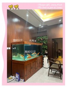 风水鱼缸可以放在水池里吗