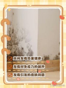 卧室发霉影响风水吗
