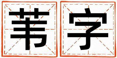 苇字取名的寓意女孩 苇字取名的寓意