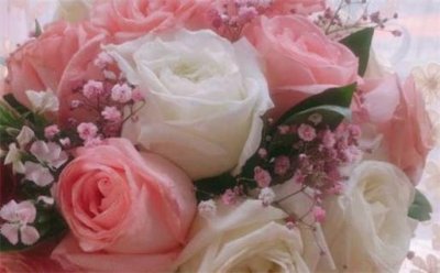 今日登记结婚好不好 2026年06月12日领证好不好