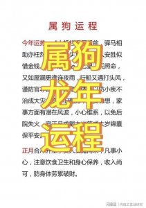属狗2006年是什么命 属狗人2006年的事业运势
