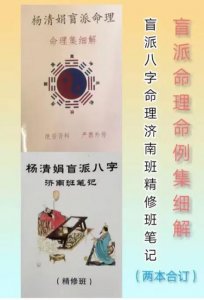 地球讲八字命理全集 盲派命理