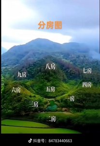 下午能看阴宅风水吗