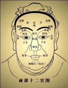 脸部有风水说之说吗
