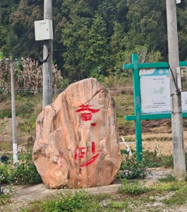 记者实探“梅姨”藏身地：紧邻村小的隐秘角落，村民直呼“后怕”