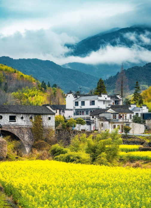 1774581784846994.png image.png