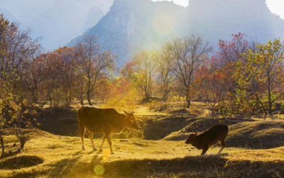 中医养生核心是什么 用20个字概括