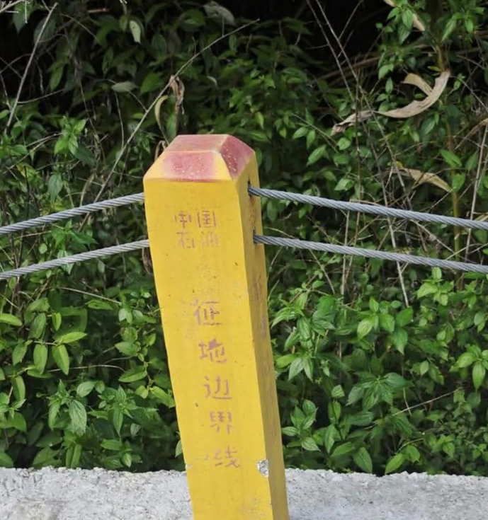 1774836017899876.png image.png